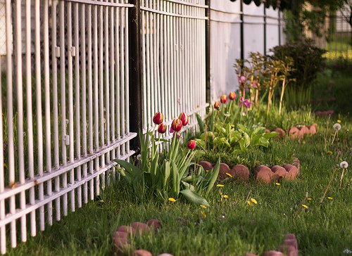 How to Makeover Your Garden in 3 Easy Steps