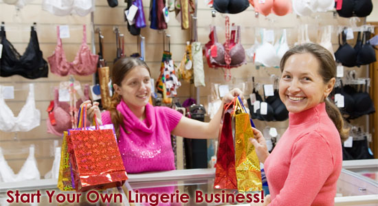 Ladies Career Advice: Start Your Own Lingerie Business!