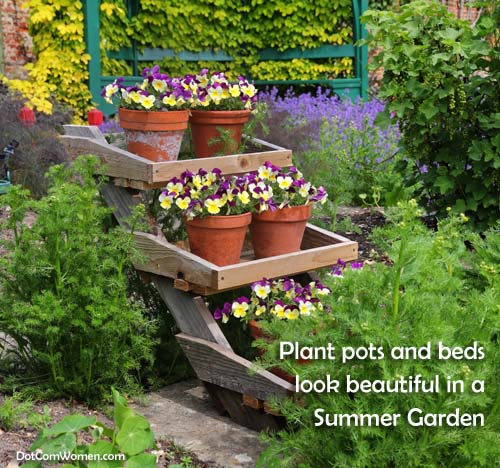 Pansy Plant pots and beds - Summer Garden Ideas