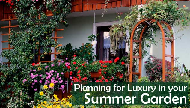 Planning for Luxury in your Summer Garden