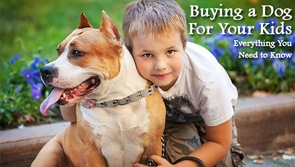Buying a Dog For Your Kids - Everything You Need to Know