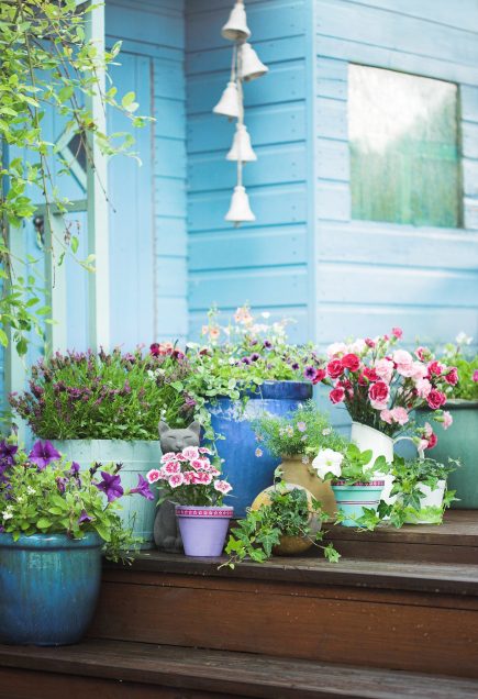 Grow summer flowers in pots for easy maintenance - Summer Gardening Ideas