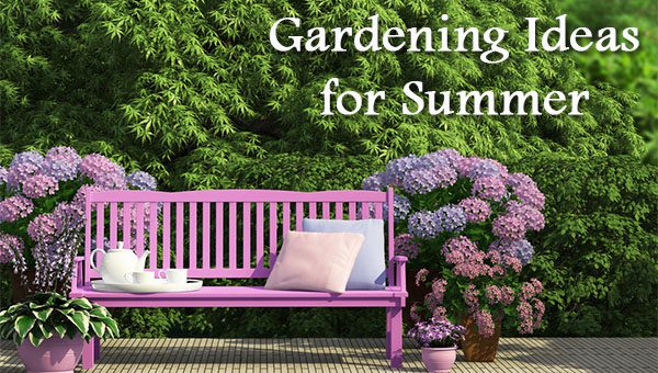 Awesome Gardening Ideas for Summer 2014