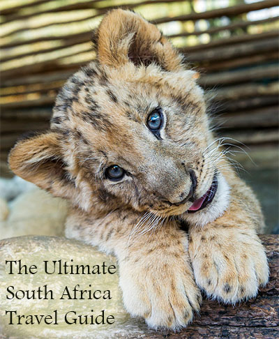 The Ultimate South Africa Travel Guide