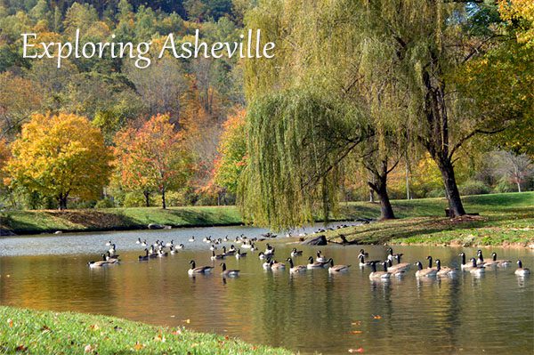 Fall in Asheville