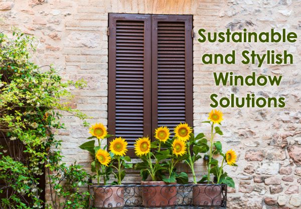 Sustainable and Stylish Window Solutions