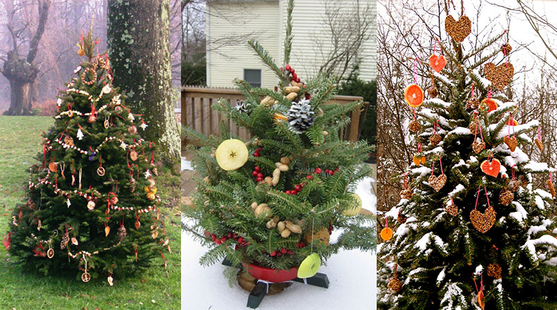 Decorate an Outdoor Holiday Tree for Animals