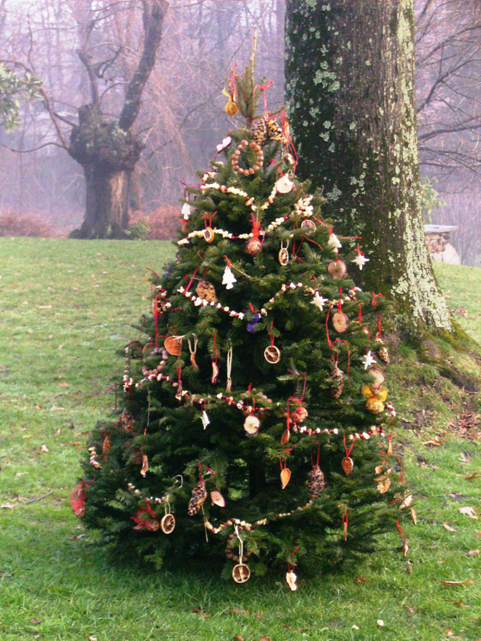 Decorate an Outdoor Holiday Tree for Animals