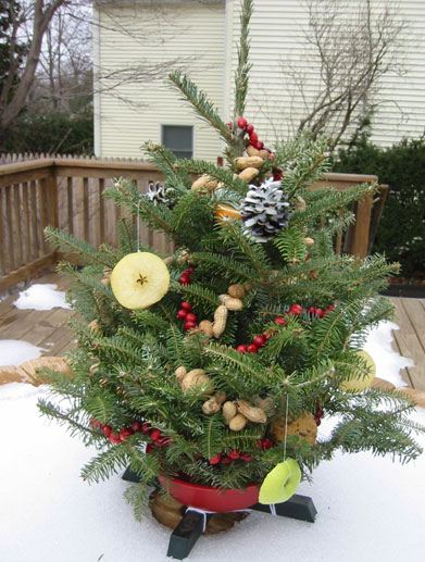 Decorate an Outdoor Holiday Tree for Animals
