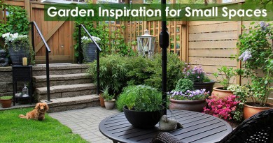 Garden Inspiration for Small Spaces