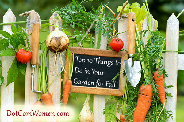 Top 10 Things to Do in Your Garden for Fall