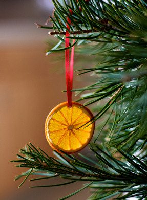 orange slice christmas ornaments