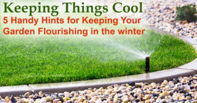 Keeping Things Cool: 5 Handy Hints for Keeping Your Garden Flourishing in the winter
