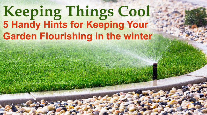 Keeping Things Cool: 5 Handy Hints for Keeping Your Garden Flourishing in the winter