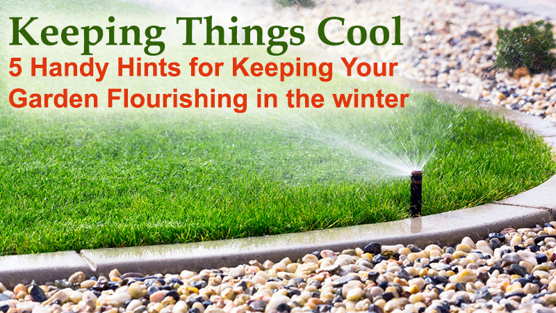 Keeping Things Cool: 5 Handy Hints for Keeping Your Garden Flourishing in the winter