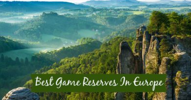 Popular Game Reserves In Europe