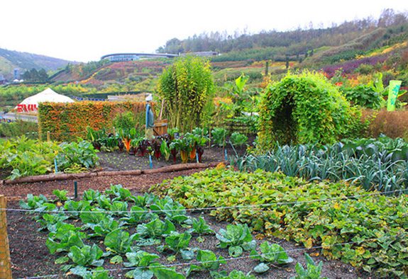 4 Ways to Live a Green and Flexible Lifestyle