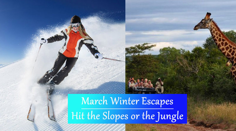 March Winter Escapes: Hit the Slopes or the Jungle