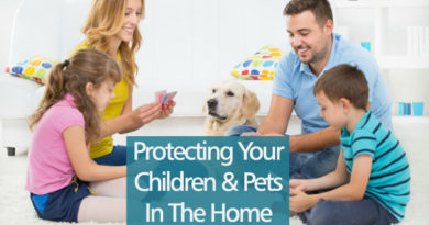 Protecting Your Children & Pets In The Home
