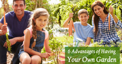 6 Advantages of Having Your Own Garden