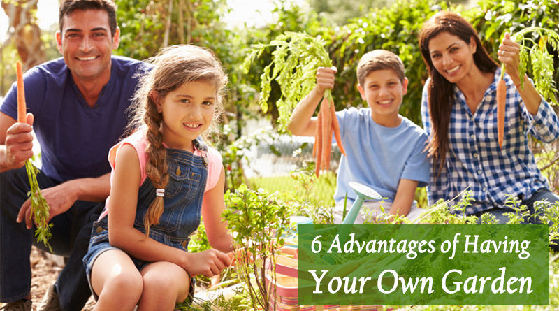 6 Advantages of Having Your Own Garden