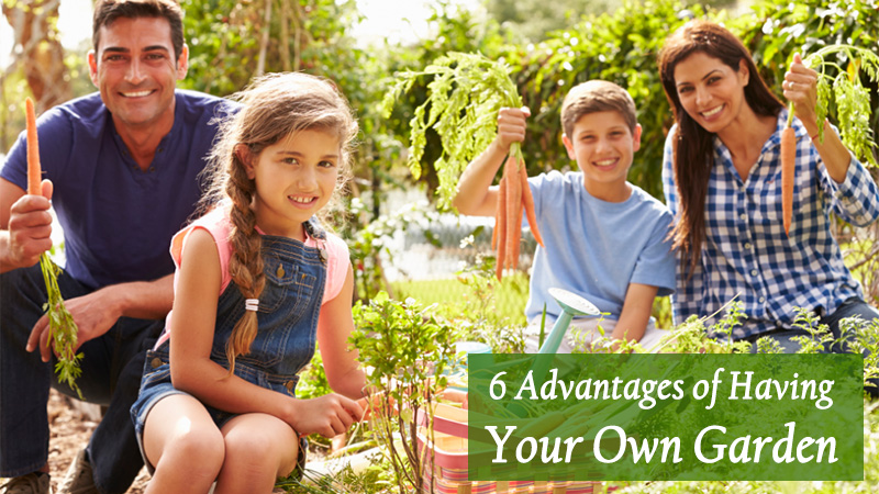 6 Advantages of Having Your Own Garden