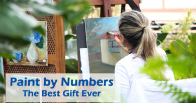 Paint by Numbers: the Best Gift Ever