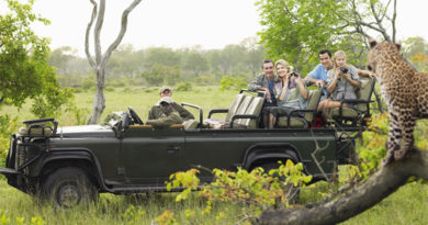 Leopard Spotting - Londolozi, The Kruger National Park