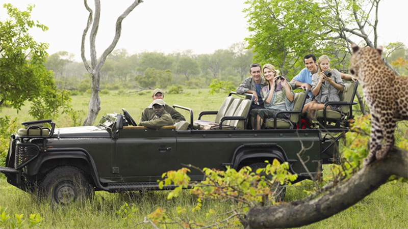 Leopard Spotting - Londolozi, The Kruger National Park