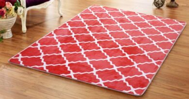 Impact of Rugs on the Human Health