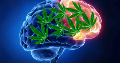How Cannabis Affects Your Ability to Concentrate and Work