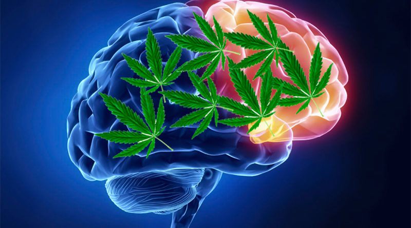 How Cannabis Affects Your Ability to Concentrate and Work