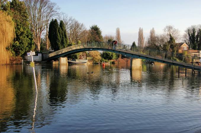 Eel Pie Island