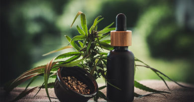 CBD Cream vs. CBD Tinctures: A Guide to Choosing Topicals vs. Tinctures