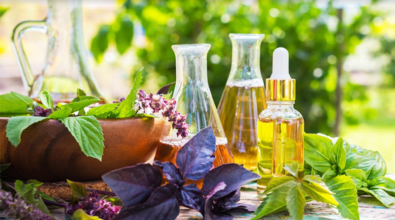 Buying the Best CBD Oil to Boost Health