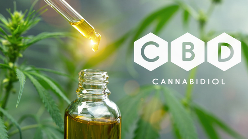 Buying the Best CBD Oil to Boost Health