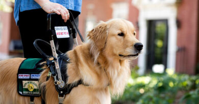 Service Animals: How They Can Help You Live Your Best Life