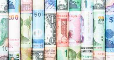 The Importance of International Currencies