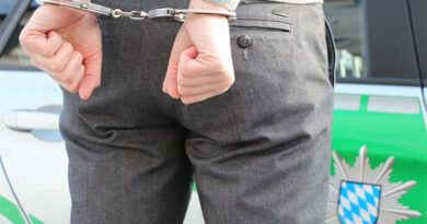 Why Domestic Violence Cases Will Grow in 2021