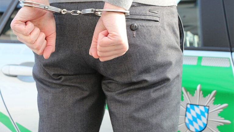 domestic violence cases ny