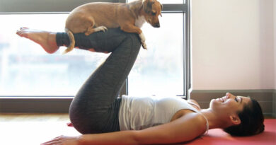 7 Ways to Exercise with Your Pet