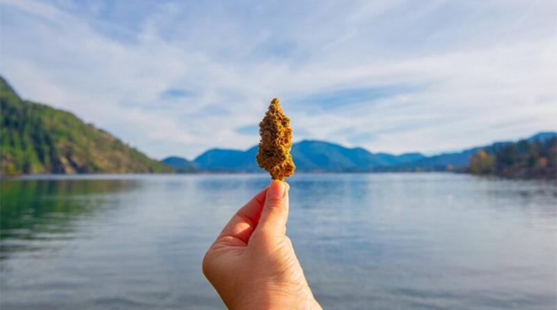 How to Go on a Weed-cation (if You Are New to Cannabis)