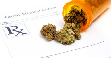 Is Marijuana Good For You Or Are There Health Risks?