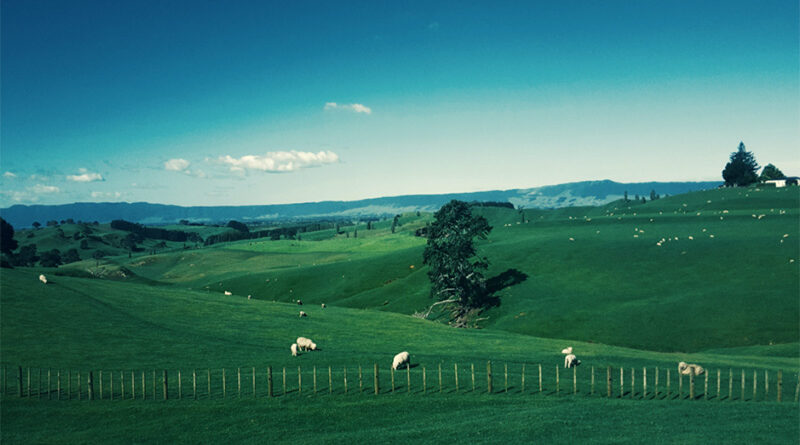 5 Underrated New Zealand Tourist Destinations