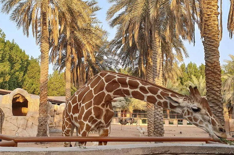 Emirates Park Zoo
