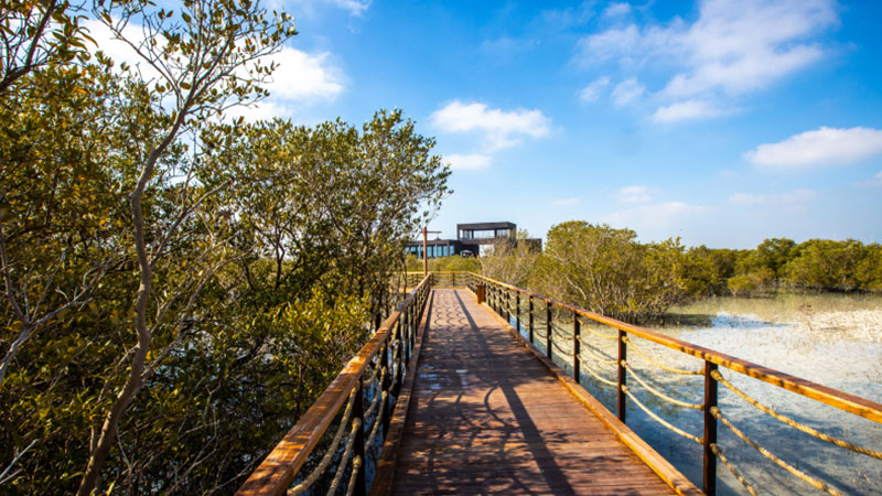 Mangrove National Park