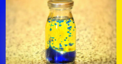 Top 5 Crafts, Art and Paint to Learn for Mom & Kids