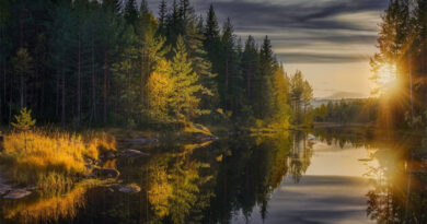 Top Tips for Landscape Photography