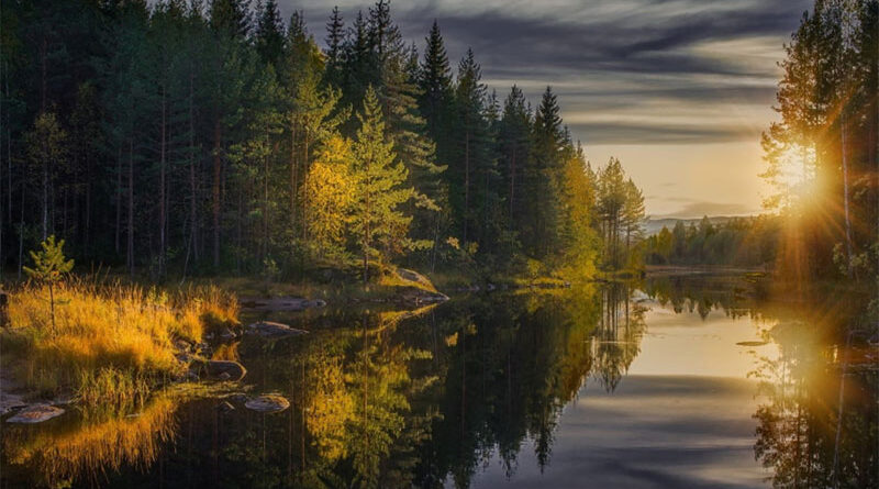 Top Tips for Landscape Photography