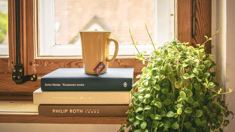 guest bedroom indoor plants décor
